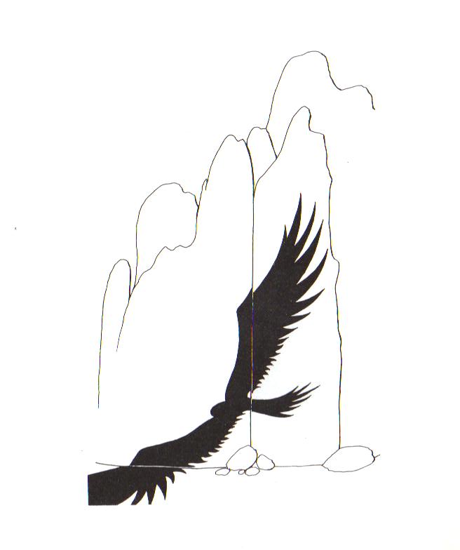 Dessin+TRIAL