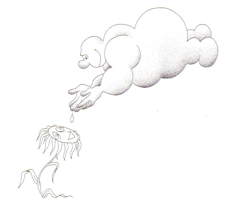 LA+FLEUR+ET+LE+NUAGE