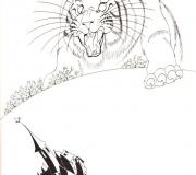 DESSIN+2LES+TIGRES001