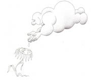 LA+FLEUR+ET+LE+NUAGE